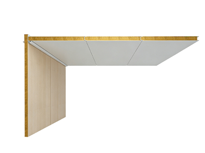 Потолочная панель