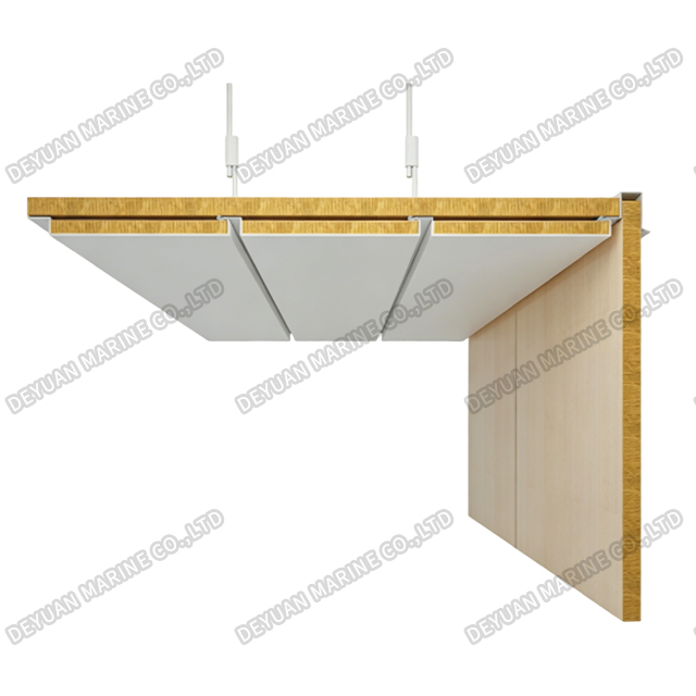 Потолочная панель типа D