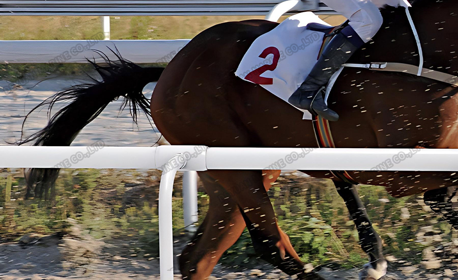 100# Лошадь&nbsp; Бег&nbsp; Железнодорожный-DEYUAN MARINE4