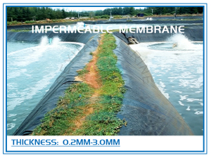 Культуральная непроницаемая мембрана