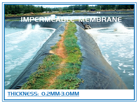 Культуральная непроницаемая мембрана